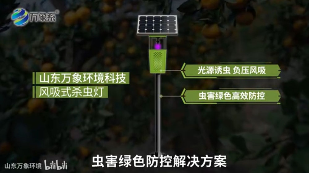 風(fēng)吸式殺蟲燈